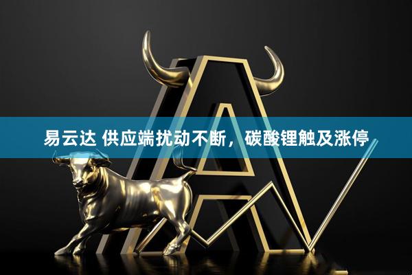 易云达 供应端扰动不断，碳酸锂触及涨停