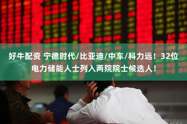 好牛配资 宁德时代/比亚迪/中车/科力远！32位电力储能人士列入两院院士候选人！