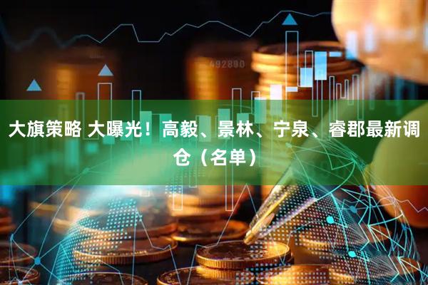 大旗策略 大曝光！高毅、景林、宁泉、睿郡最新调仓（名单）