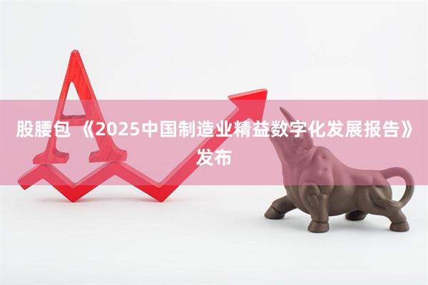 股腰包 《2025中国制造业精益数字化发展报告》发布
