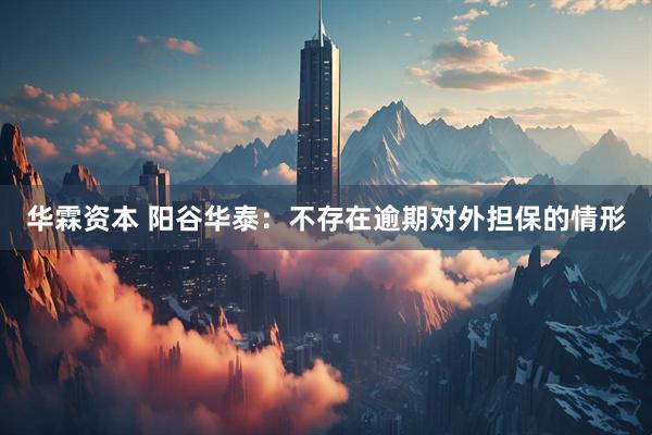 华霖资本 阳谷华泰：不存在逾期对外担保的情形