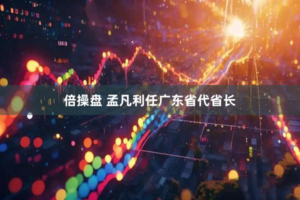 倍操盘 孟凡利任广东省代省长
