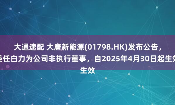 大通速配 大唐新能源(01798.HK)发布公告，委任白力为公司非执行董事，自2025年4月30日起生效